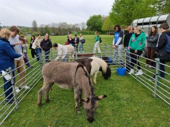 Health and Wellbeing Day sets students up for exam season